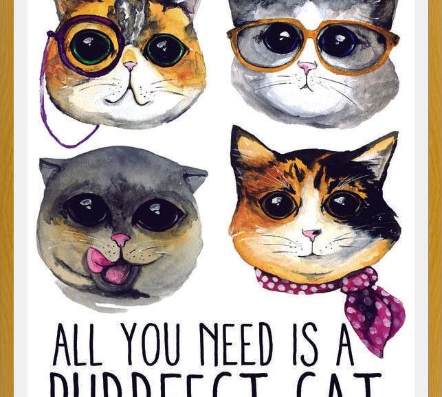 Cuadro gatitos