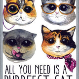 Cuadro gatitos