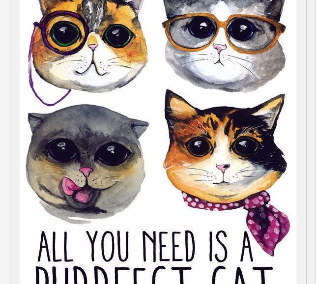 Cuadro gatitos