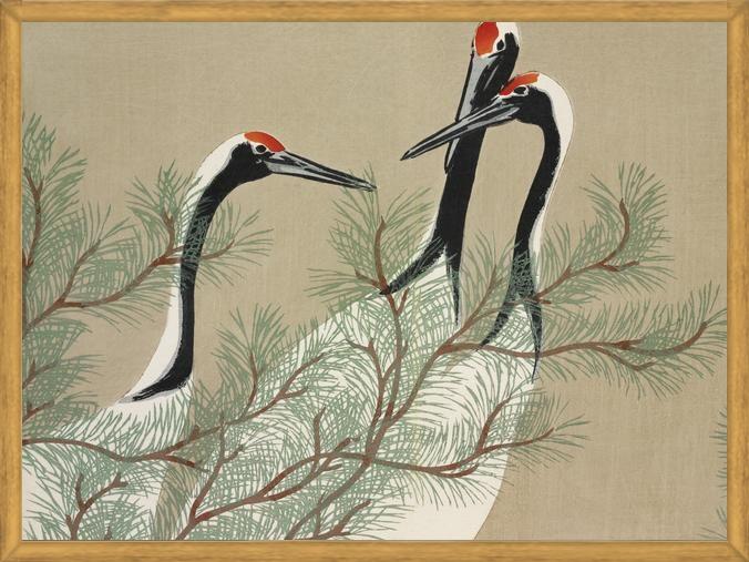 Cuadro Chinese Birds