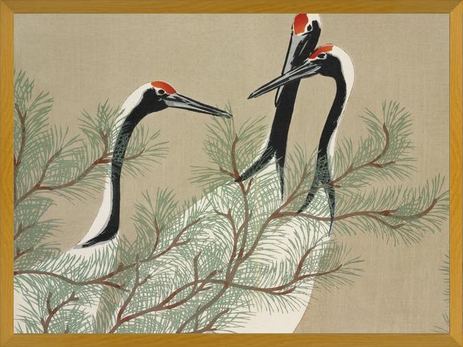 Cuadro Chinese Birds