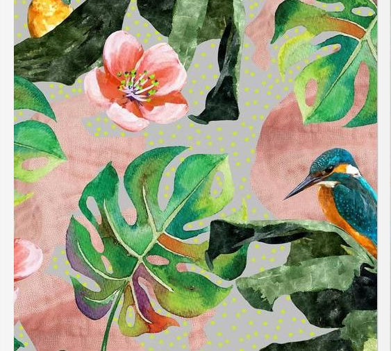 Cuadro Bird Sanctuary