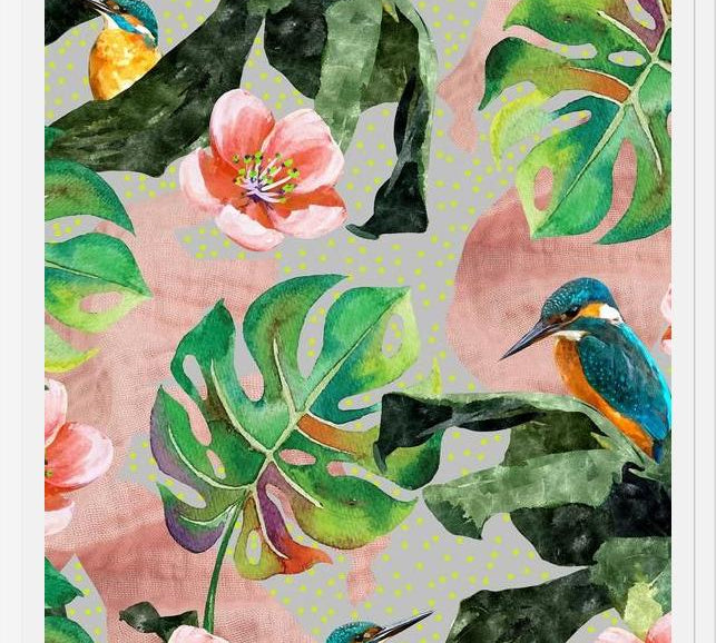 Cuadro Bird Sanctuary