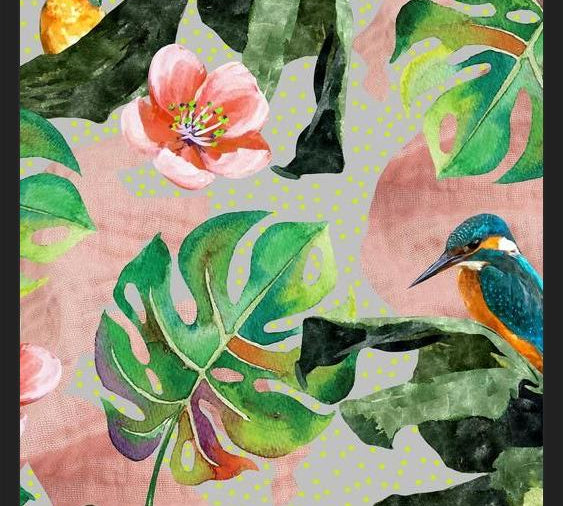 Cuadro Bird Sanctuary