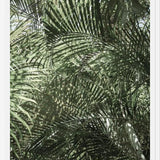 Cuadro Follaje Verde