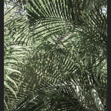 Cuadro Follaje Verde