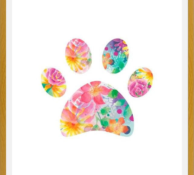 Cuadro Floral Paw