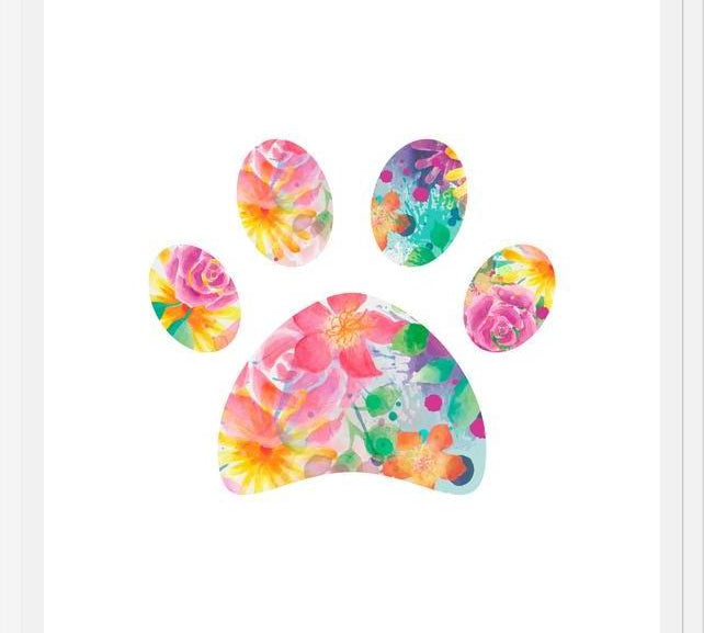 Cuadro Floral Paw