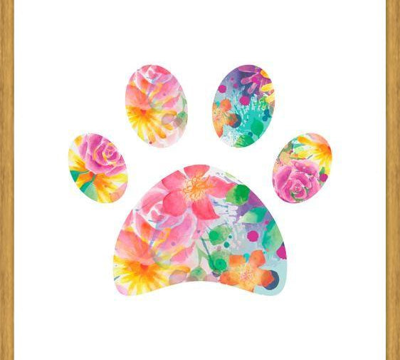 Cuadro Floral Paw