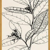 Cuadro MINIMAL LEAVES - 01 NUDE