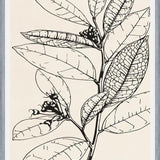 Cuadro MINIMAL LEAVES - 01 NUDE