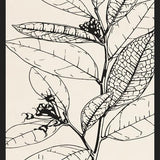 Cuadro MINIMAL LEAVES - 01 NUDE