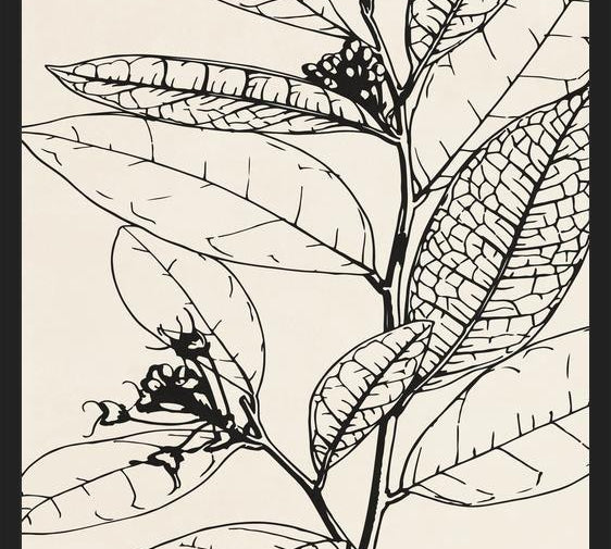 Cuadro MINIMAL LEAVES - 01 NUDE