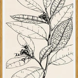 Cuadro MINIMAL LEAVES - 01 NUDE