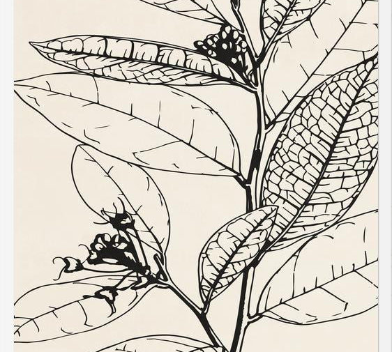 Cuadro MINIMAL LEAVES - 01 NUDE