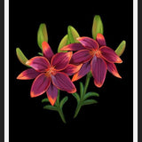 Cuadro Cute lilies