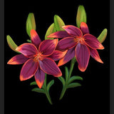Cuadro Cute lilies