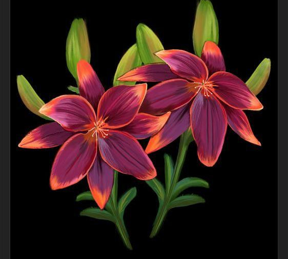 Cuadro Cute lilies