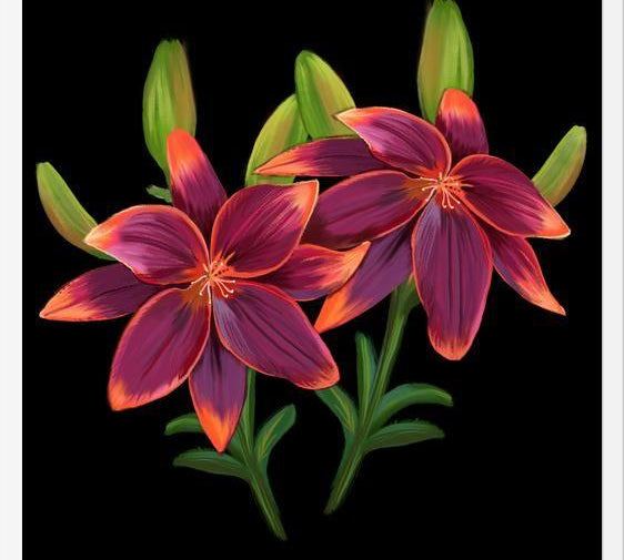 Cuadro Cute lilies