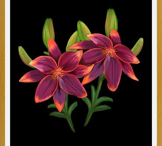 Cuadro Cute lilies