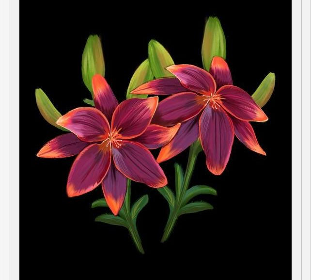 Cuadro Cute lilies