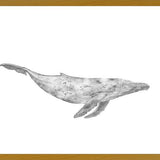Cuadro Ballena Jorobada Chilena 1