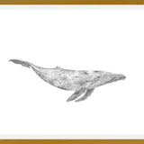 Cuadro Ballena Jorobada Chilena 1