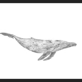 Cuadro Ballena Jorobada Chilena 1