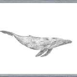 Cuadro Ballena Jorobada Chilena 1