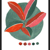 Cuadro Gomeros