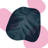 Canvas Hoja Tropical