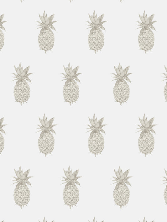 Mantel de hule Pineapples cream, detalle del diseño