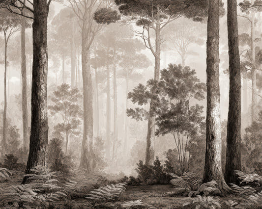 Papel mural Bosque en Sepia, detalle del diseño: bosque de pinos entre la neblina en tonos sepia.