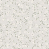 Papel Mural Popelina