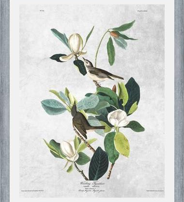 Cuadro Botanical print
