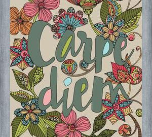 Carpe diem