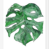 Cuadro Hoja Monstera
