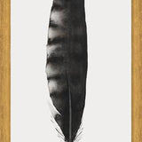 Cuadro Pluma Acuarela 3