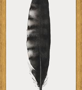Cuadro Pluma Acuarela 3
