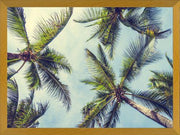 Cuadro Palms In The Sky