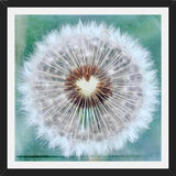 Cuadro Dandy Heart