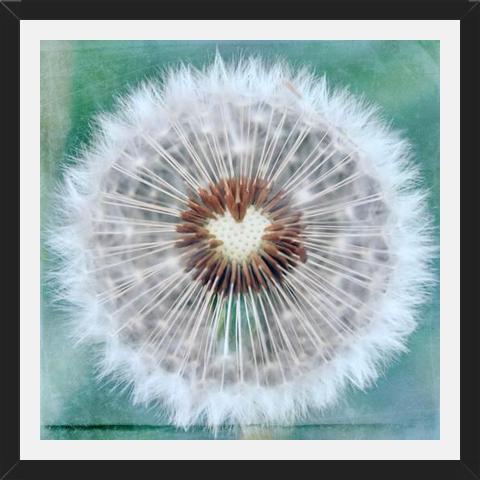 Cuadro Dandy Heart