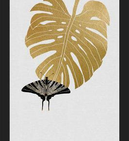 Cuadro Butterfly and Monstera Leaf