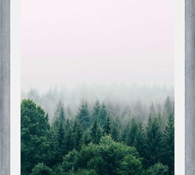 Cuadro The Fog And The Forest I