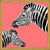 Cuadro Zebra Illustration 001