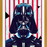 Cuadro Vader