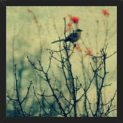 Cuadro Autumn Bird