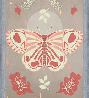 Cuadro Vintage Butterfly 02