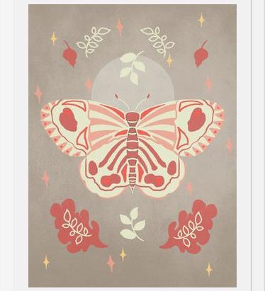 Cuadro Vintage Butterfly 02