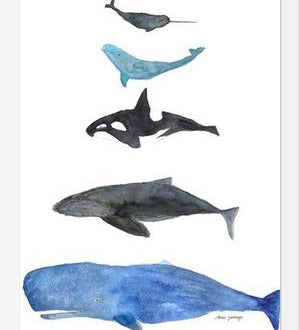 Cuadro Ballenas